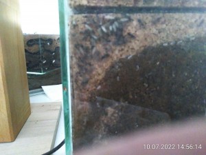 Links ist alles voll Müll und oben ist noch Platz für ein paar Männchen.