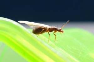 B8D93D6A-92FD-4CC0-8130-88FF22AB1AD0-599-0000000E8CD6780C.JPG