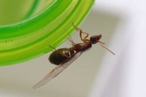 AA985A0E-5A4F-4EB3-B72B-7AE0B64F8A04-599-0000000E8630C594.JPG