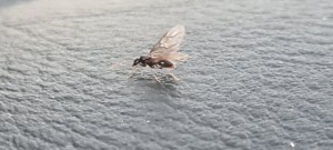 20220716_210956.jpg