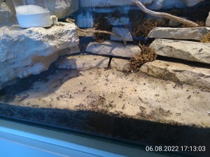 Mit Beleuchtung liegt der Freidhof wieder im Schatten.