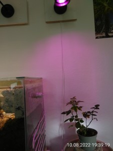 Seit heute bekommt...