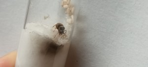 20220819_180033.jpg