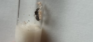 20220819_180636.jpg