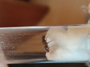IMG_20220826_185302.jpg