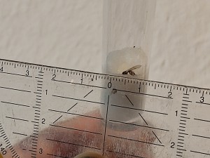 IMG_20220827_132708.jpg