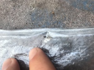 6C87062B-CDB9-46E1-BA97-02D4972E6FB0.jpeg