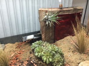 5CF85085-0232-4516-A6EC-637B1898CD92.jpeg (1.98 MiB) 1369 mal betrachtet So sieht es dann aus, der Zugang zum RG liegt höher, so das auslaufendes Wasser nicht ins Nest gelangen kann