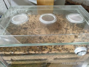 in Hongkong das selbe Bild