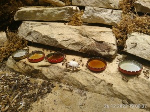 gerade erst rein gestellt