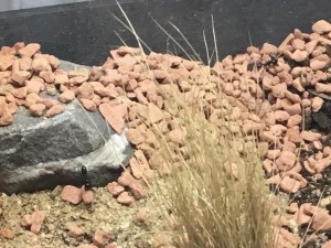 Die können ganz schön was weg tragen!