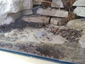 IMG_20230219_153957.jpg (2.45 MiB) 973 mal betrachtet 19.2.