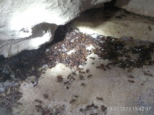 IMG_20230219_154207.jpg (2.65 MiB) 978 mal betrachtet 19.2.