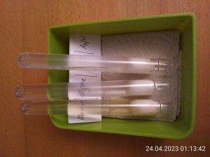 nochmal 24 h später, alles trocken