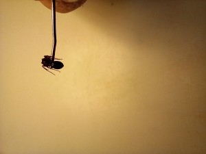 20230502_183104.jpg