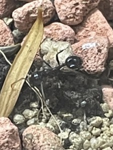 Aber das hat mich beruhigt, waren bloss Lichtreflexe