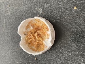 Neue Schrimps, fein zerriebenen. Morgen früh ist die Schale wieder bis aufs Chitin leer