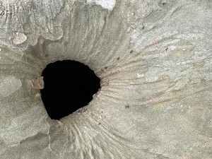 In dem Loch wohnen sie, schon relativ viel Verkehr aber da geht noch viel mehr!