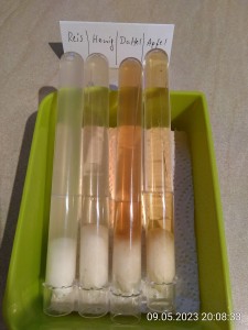 Start der neuen Runde