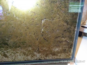 Das ist unten im Becken, zwischen Ytong und Glas.