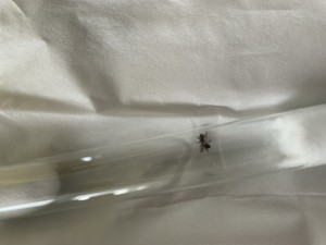 IMG_3603.jpeg
