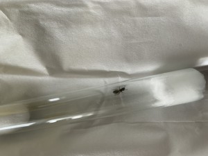 IMG_3604.jpeg