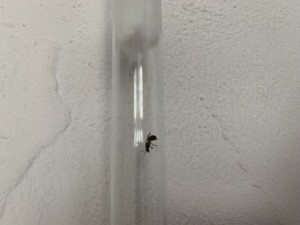 IMG_3606.jpeg