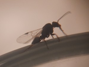 20230709_235720.jpg