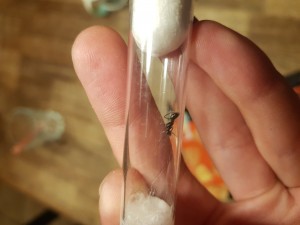 20230715_191924.jpg