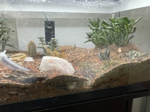 Und wie es jetzt aussieht…