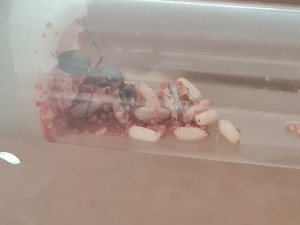 20230805_132324.jpg