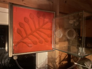 IMG_2361.jpeg