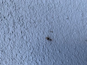 IMG_4097.jpeg