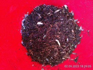IMG_20230902_183905.jpg (3.87 MiB) 1612 mal betrachtet und fertig