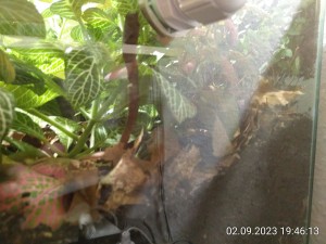 IMG_20230902_194613.jpg (2.51 MiB) 1612 mal betrachtet Die rechte Seite sehe ich selber nur selten.