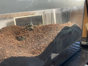 Bei dem Krater im Vordergrund sieht man die ursprüngliche Erdhöhe…
