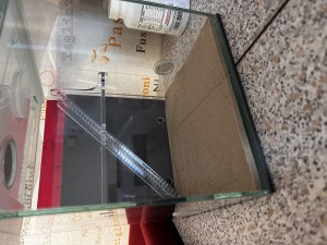 IMG_7339.jpeg