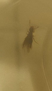 IMG20230922202221~2.jpg