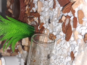 20231114_151649.jpg (2.32 MiB) 924 mal betrachtet 20231114_151649.jpg