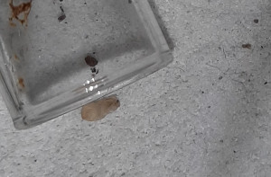 20240110_204735.jpg