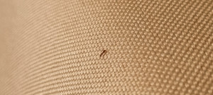 20240320_095322.jpg