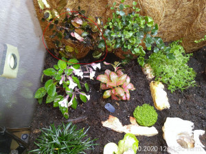 Tasche.JPG (386.5 KiB) 2519 mal betrachtet Gefunden!