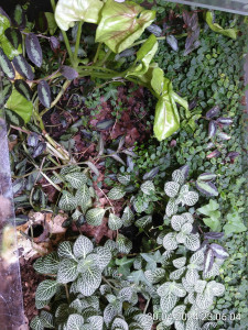 linke Seite, das Foto dreht sich immer senkrecht :(