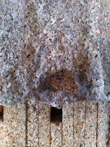 Das war mal ein rundes Loch als Schlauchdurchführung.