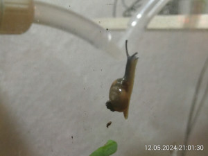 Endlich mal eine, die beim Fotografieren stillhält.