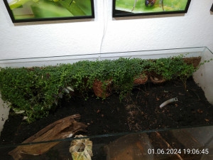 IMG_20240601_190645.jpg (2.97 MiB) 2413 mal betrachtet Das war endgültig.