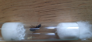20240629_092358.jpg
