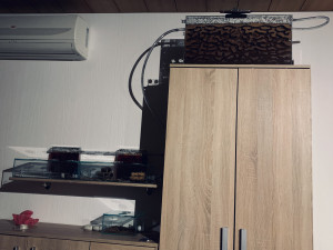 Das einzige was ich verändert habe ist, dass ich die Standorte der beiden großen Nestern oben auf dem Schrank vertauscht habe, das Nest das man jetzt sieht war vorher ca. Drei Jahre hinten!