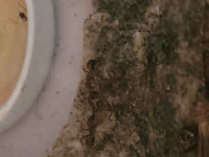 20250319_195112.jpg