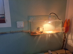 20250322_183146.jpg